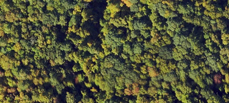 Boone, NC 28607