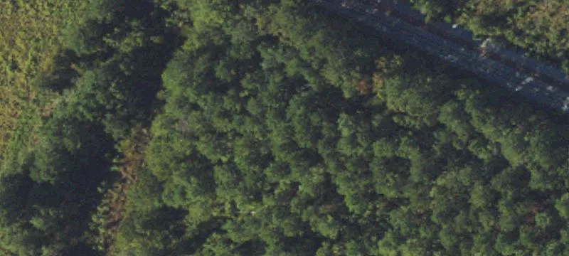 Old Abbottsburg Rd