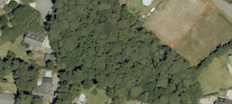 117 The Dogwoods