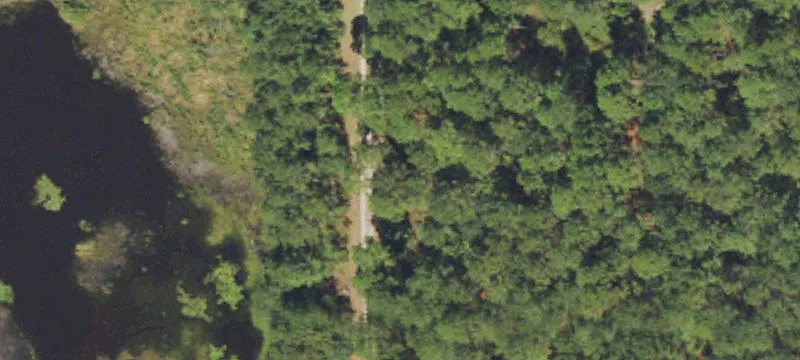 Currie, NC 28435