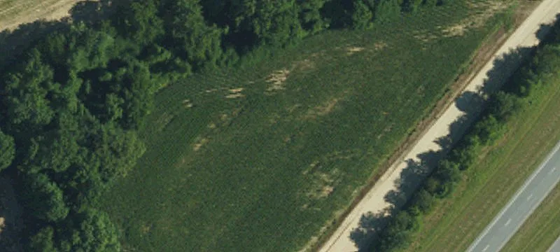 Faison, NC 28341