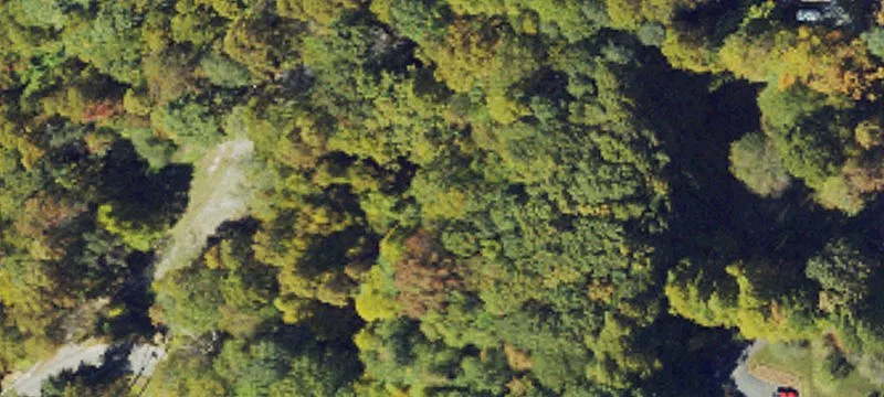 Boone, NC 28607