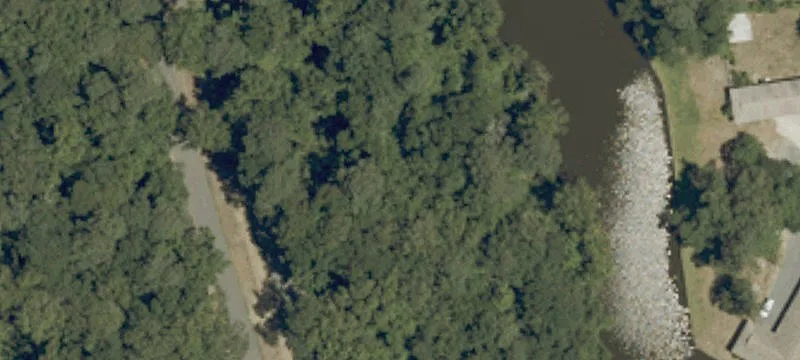 Duck Woods Dr