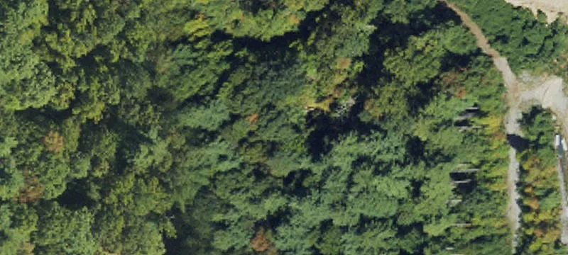 Pisgah Forest, NC 28768