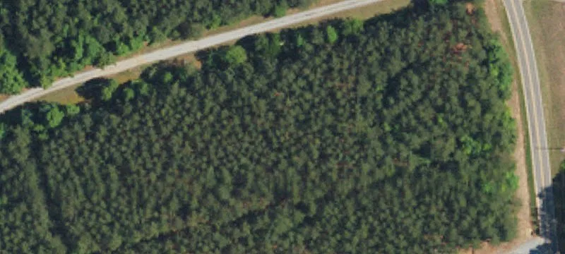 Dills Rd