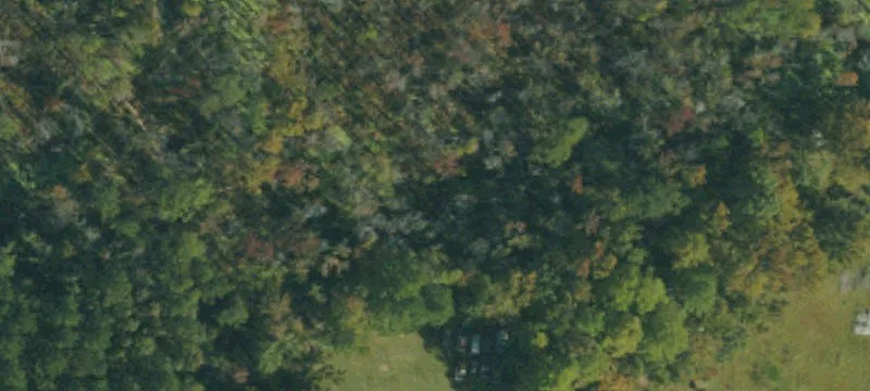 2199 Byrds Ml Rd