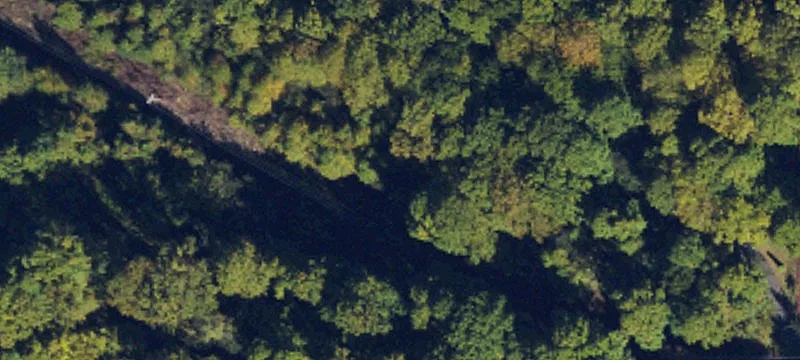 Farley Br Rd