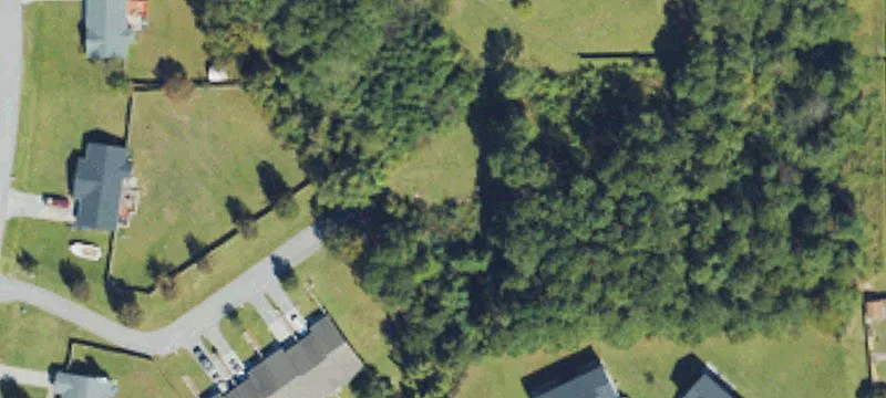 Ivy Dr