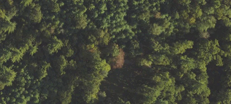 Gusher Knob Rd