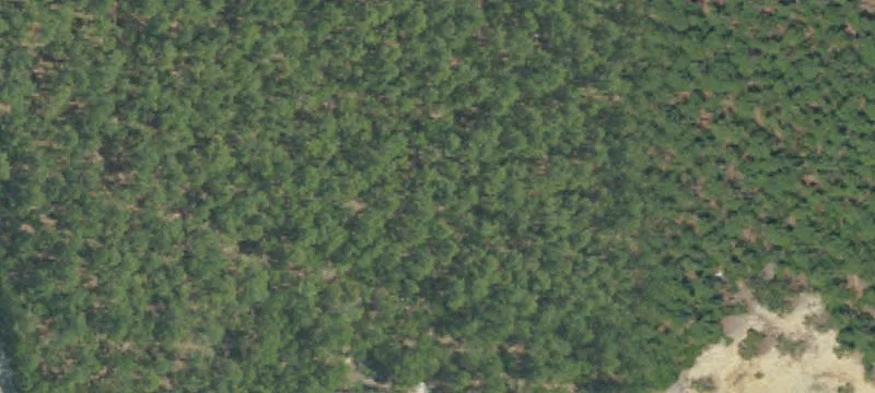 Hamlet, NC 28345