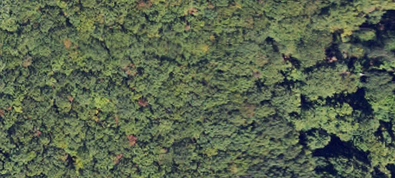 Boone, NC 28607