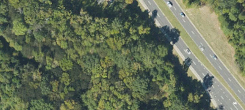 Rea Rd