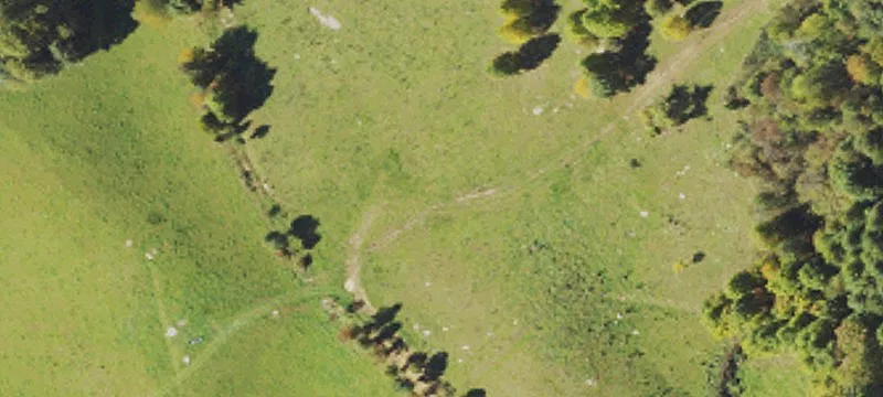 Old Beech Mtn Rd