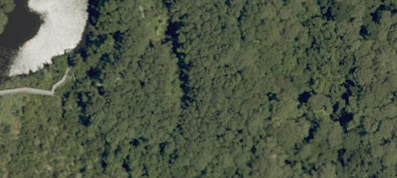 Old Nags Head Woods Rd