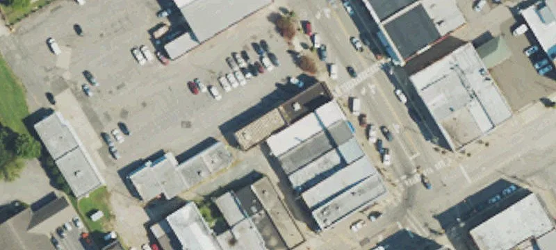 113 College St