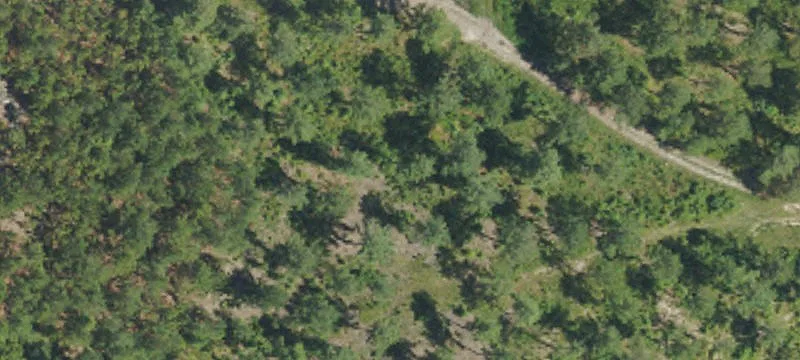 Marston, NC 28363