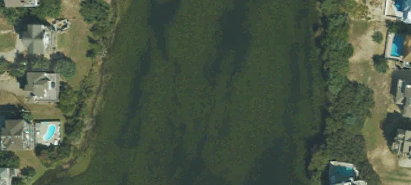 Sea Vis Dr