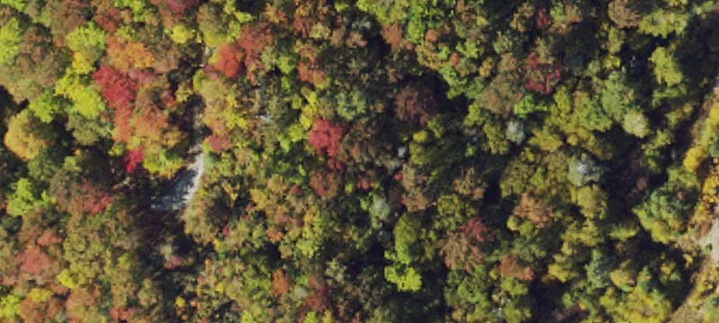 Hickory Nut Gap Rd