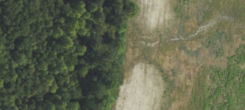 Albertson, NC 28508