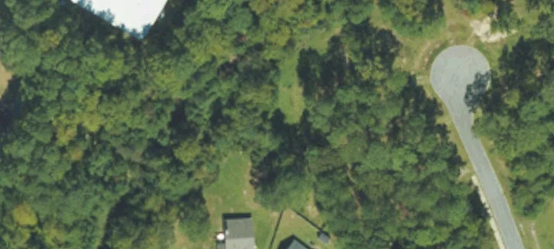 Dogwood Ln
