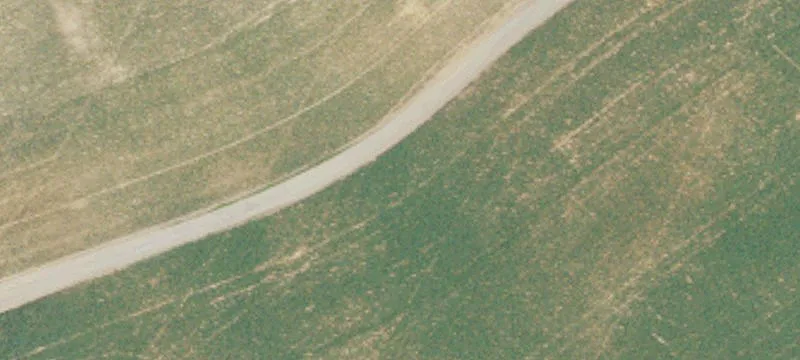 Pageland Hwy