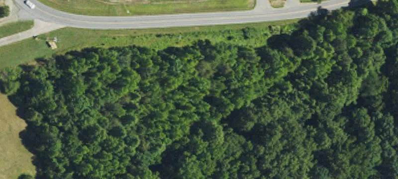 Fowler Rd