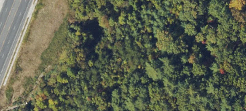 Georgia Rd