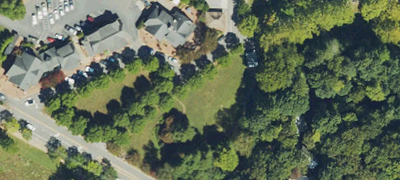 Dogwood Ln