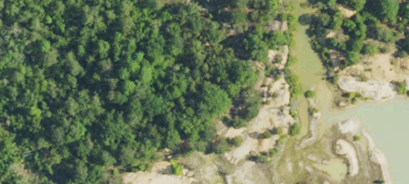 Ponderosa Rd
