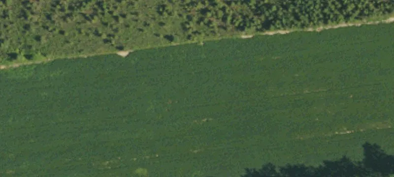 Bud Hawkins Rd