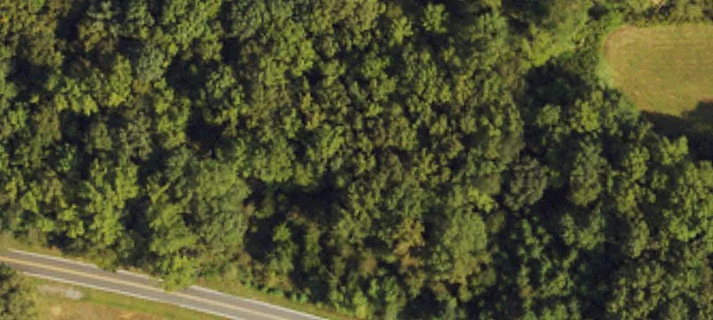Frans Rd
