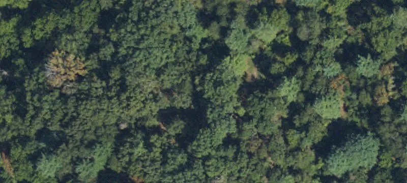 27 Reems Crk Rd