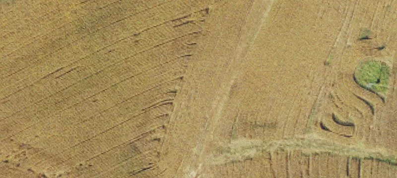Elastic Plant Rd