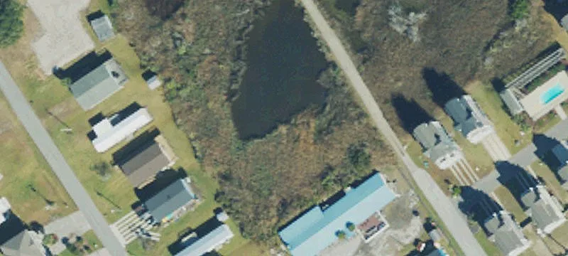 Scotch Bonnett Cir
