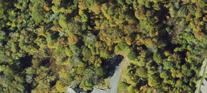 Moss Rock Ln