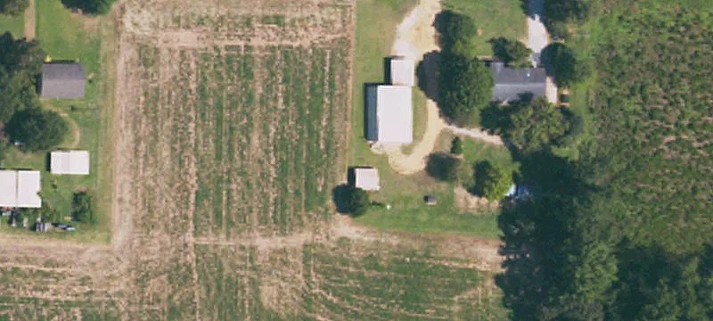 786 Nc Hwy 55