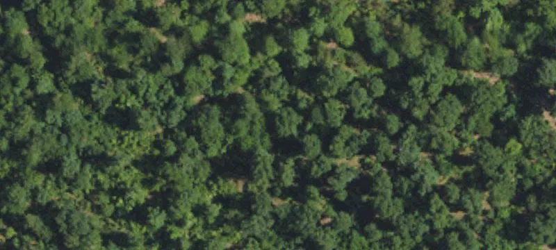 2117 Slate Mine Rd