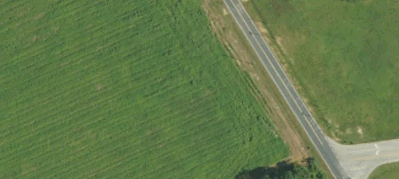 White Line Rd