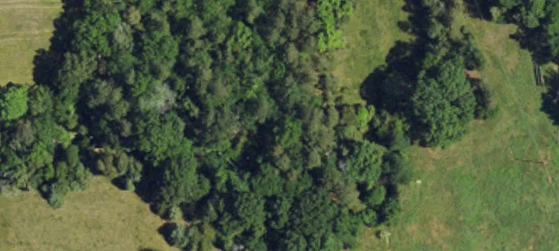 Mcgee Rd