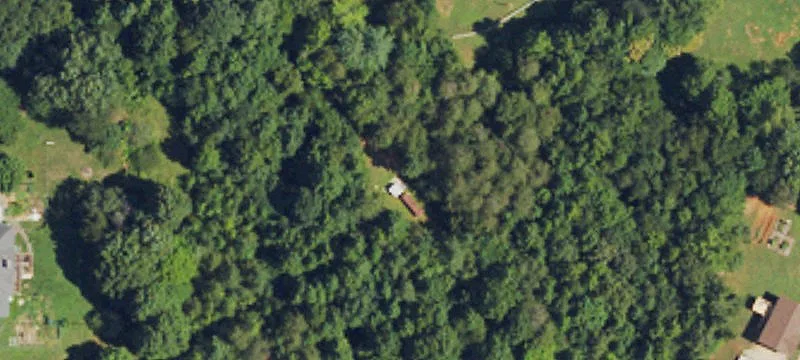 Creedmoor Dr