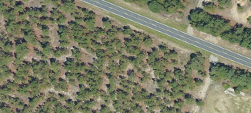 Us 1st N