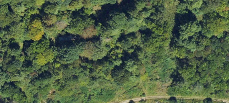 249 Banco Sawmill Rd