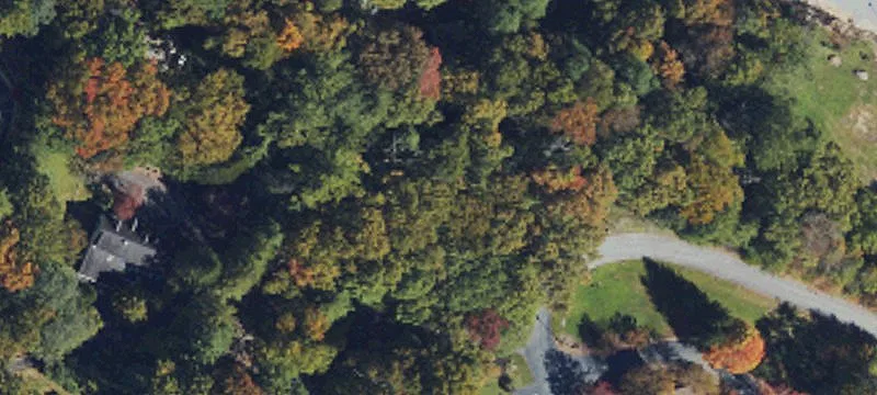 Log Cabin Ln