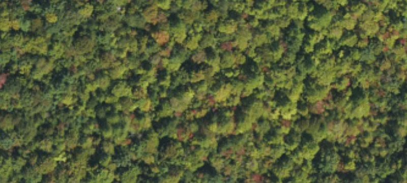 Mariposa Rd