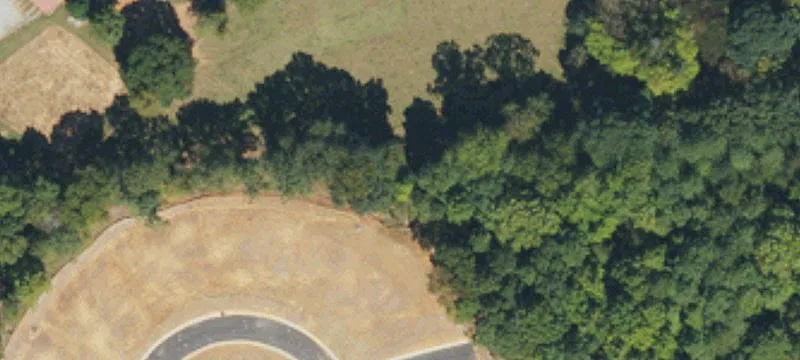 Bentbrush Dr
