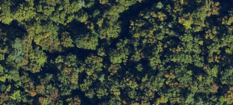 Robbinsville, NC 28771