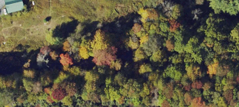 Puckett Rd