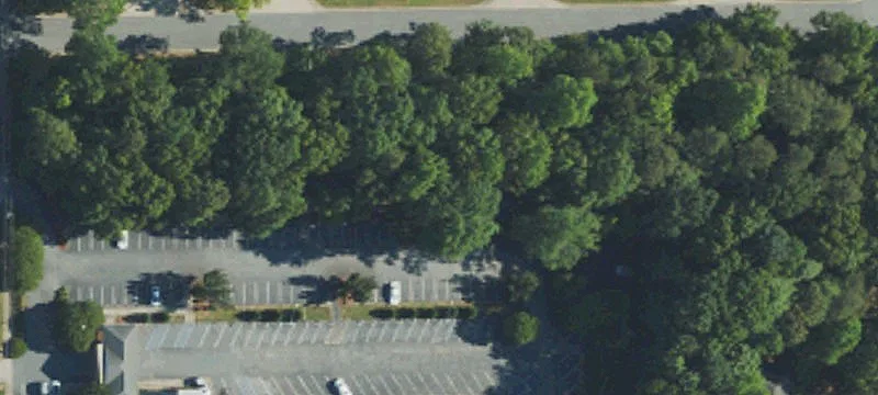 Ss Park St