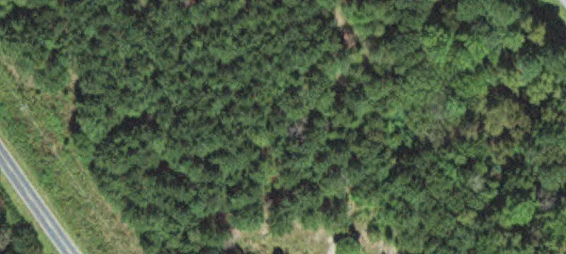 Nc 27