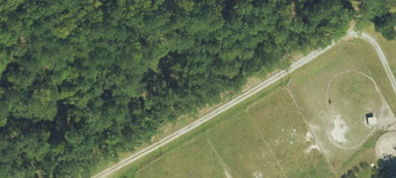 619 White Oak Xing